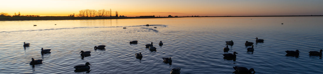 ready gear for duck shooting nz