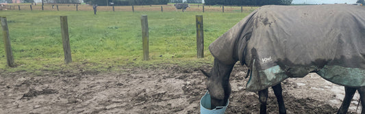 best horse rug waterproofer nz