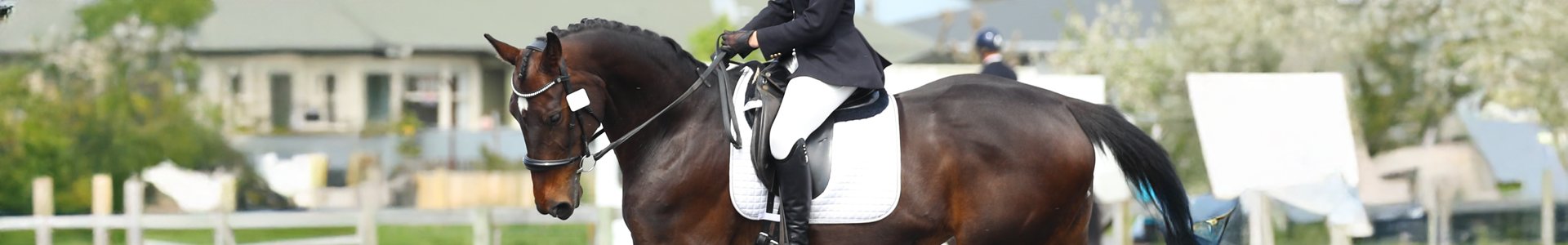 Gear: Equestrian Gear