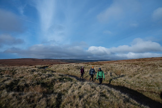 MAY IS NATIONAL WALKING MONTH!