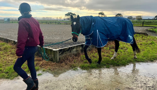 Best way to wash horse rugs at home in Australia